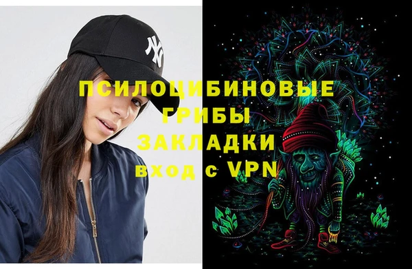 молекула духа Алзамай