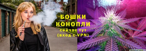 молекула духа Алзамай